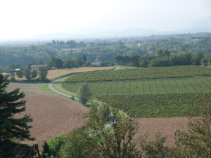 Sviluppo territoriale e studi